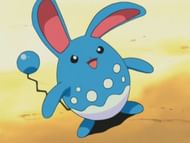 Azumarill was a strong threat with Z-Belly Drum (Image via The Pokemon Company)